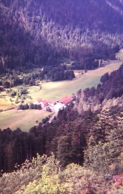 La ligne bleue des Vosges.