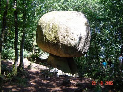 Un champignon de taille!